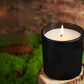 Main Character Energy 16 oz 100% Soy Candle